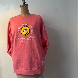 2016 PANCOAT X SESAME STREET big bird sweatshirt size M